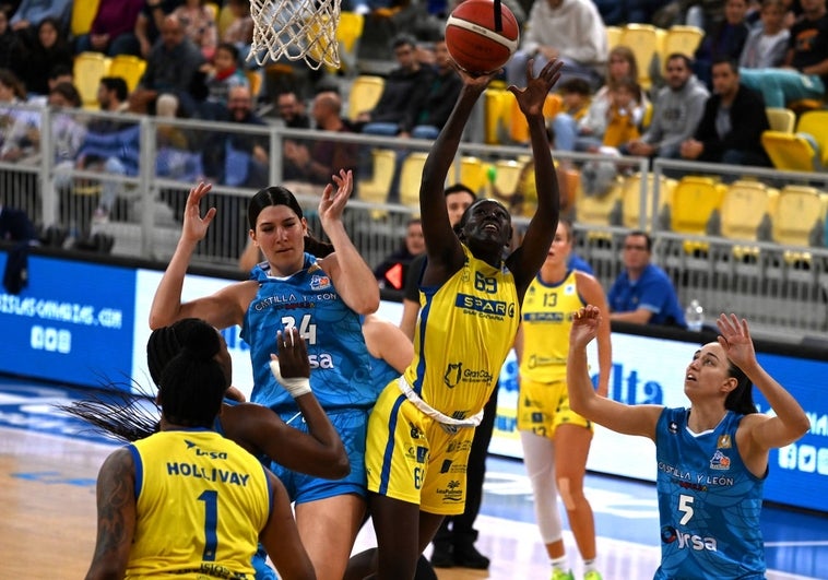 El Avenida arrancará la Liga en casa ante el SPAR Gran Canaria