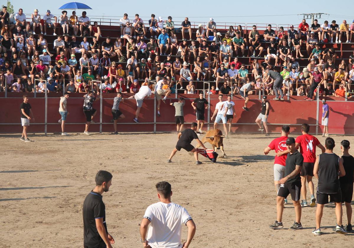 ¿Qué fiestas hay en los pueblos de Salamanca hoy martes 1 de agosto?