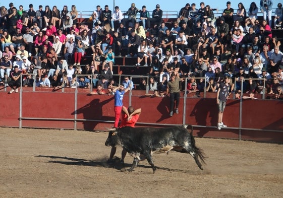 Un mozo realizando un espectacular quiebro ante la cara de "Yesero" en Santa Marta