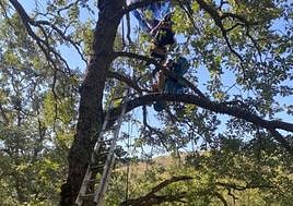 Bomberos durante el rescate.