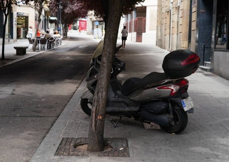 Imagen secundaria 1 - Algunas de los obstáculos que tienen que evitar los peatones en el día a día