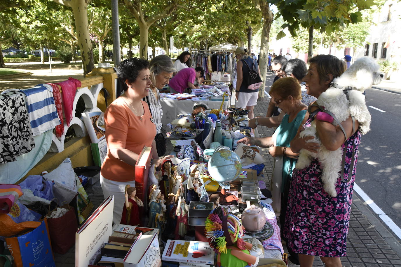 Ciudad Rodrigo reivindica su esencia comercial en el Martes Chico