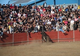 El Toro del Aguardiente de Santa Marta de Tormes, se celebró con aforo completo.