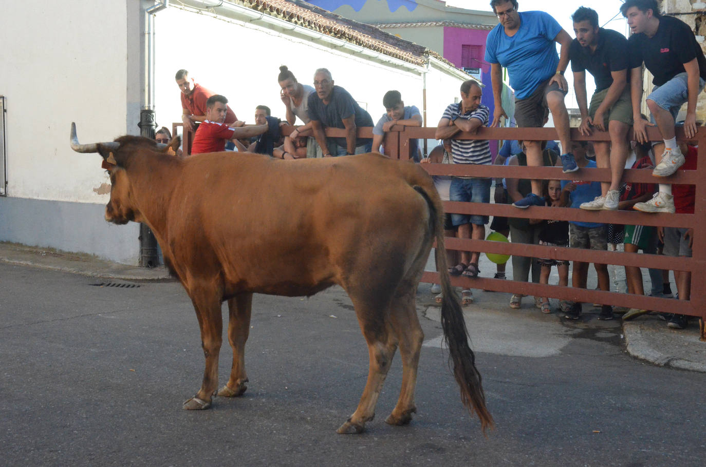 Adrenalina en el Mini Corpus de La Fuente de San Esteban