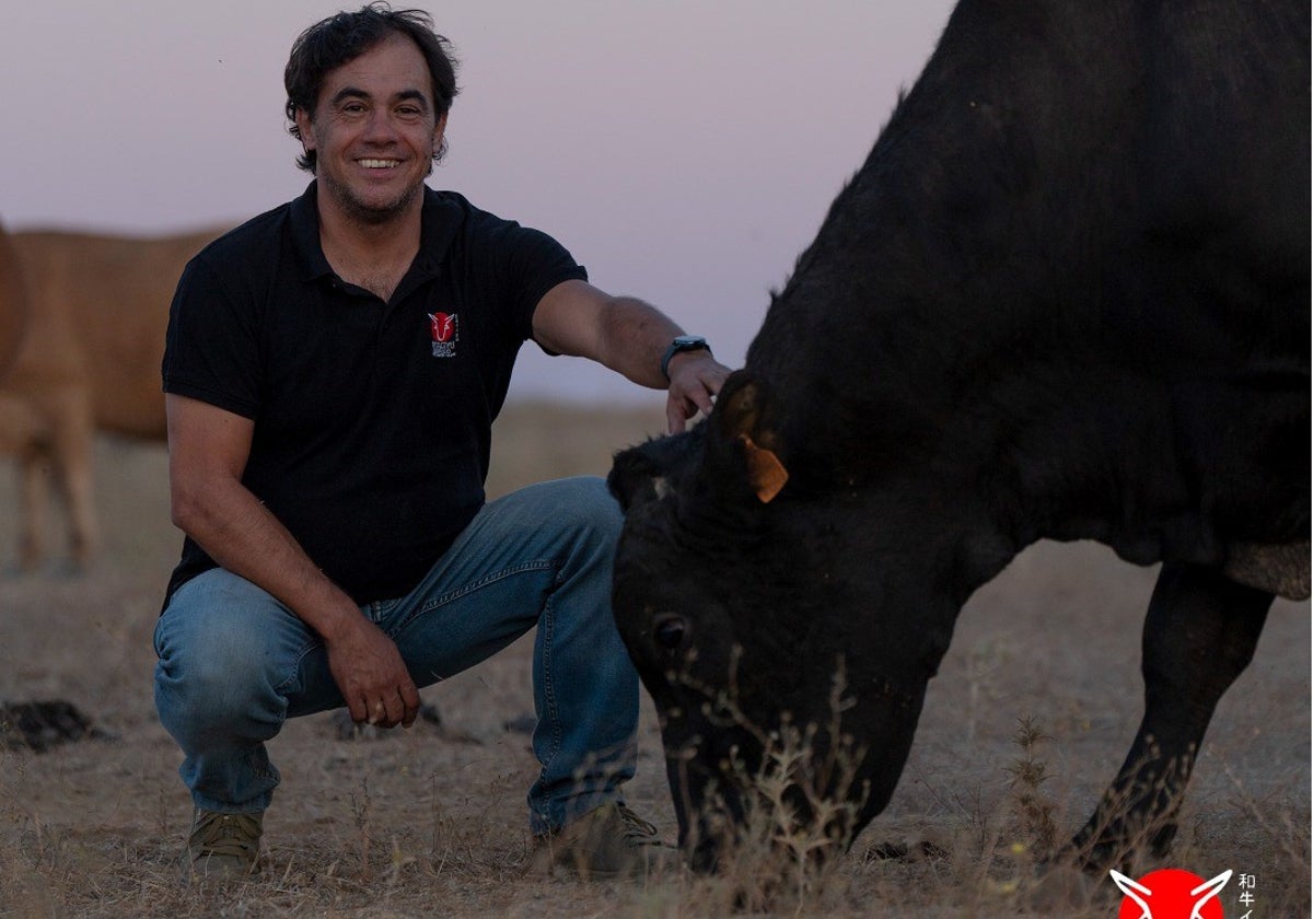 Alfonso García Cobaleda, con uno de sus ejemplares wagyu.