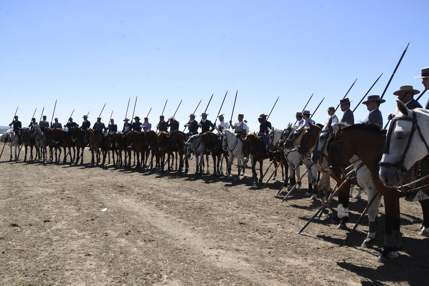 El Nacional de Faenas y Doma de Campo de Ciudad Rodrigo se marcha a Castilla La Mancha