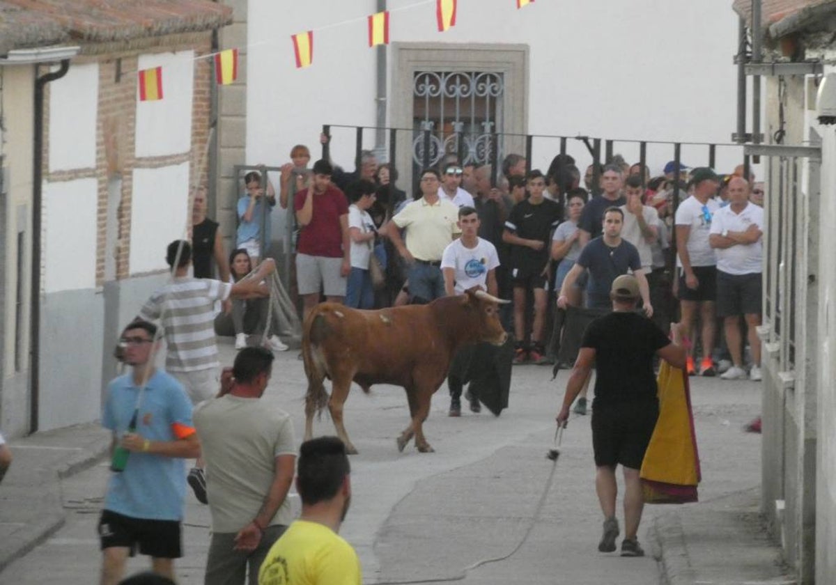 Festejo taurino con dos astados en Palaciosrubios