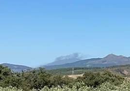 Incendio forestal en Gata