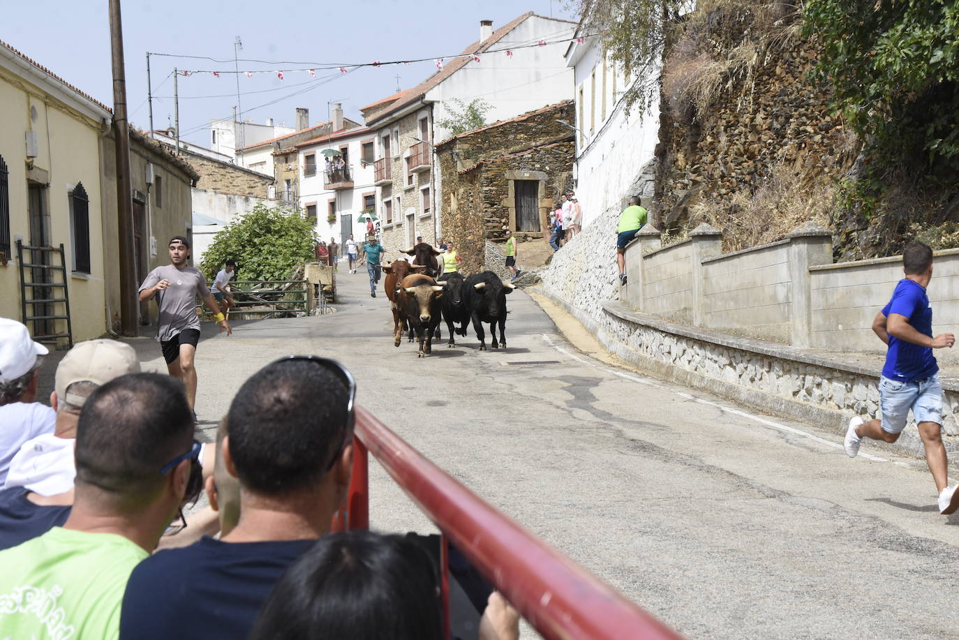 Rápida carrera en el primer encierro de Saucelle