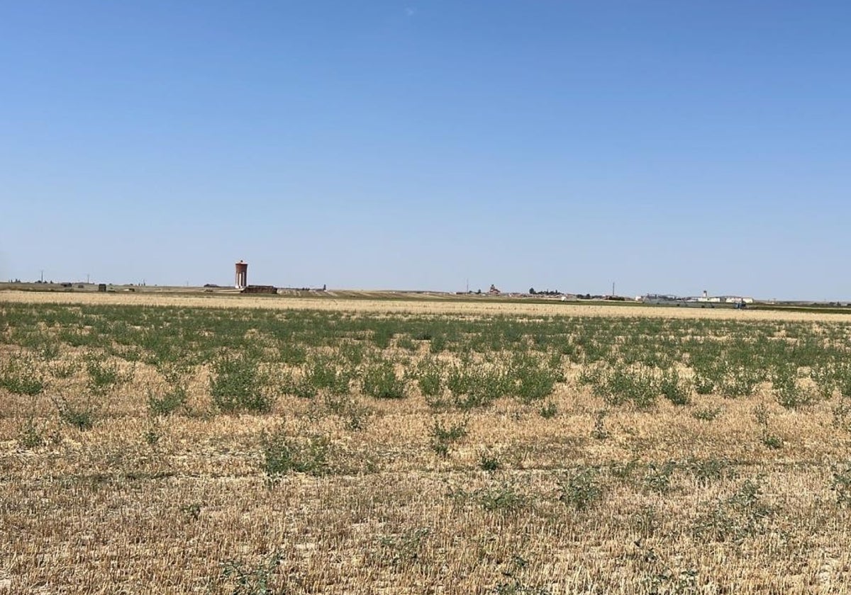 Explotación agraria en Salamanca.