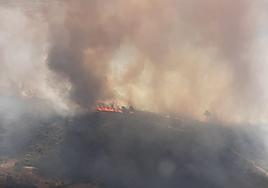 Incendio de Agozelo.