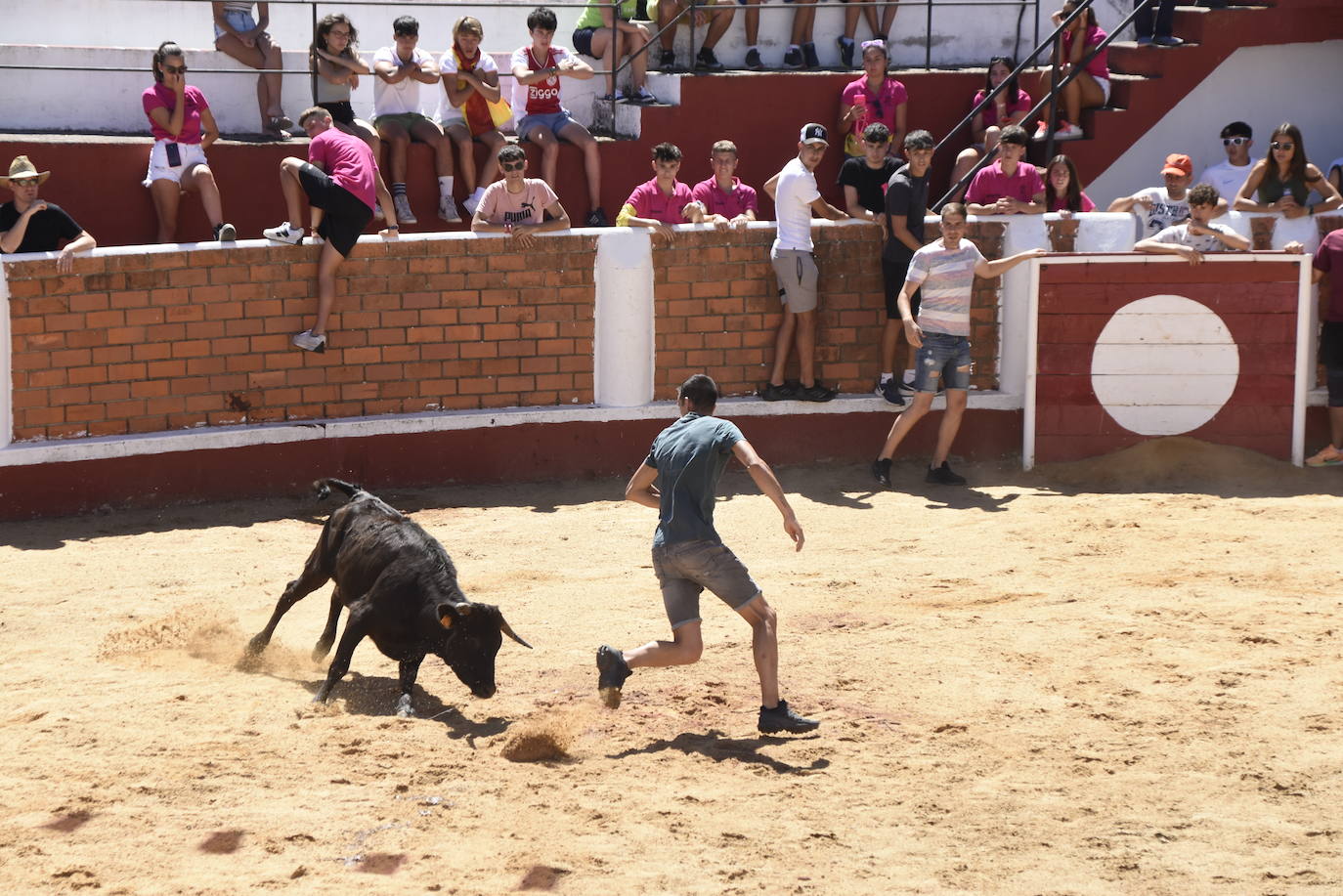 Velocísimo segundo encierro de Saucelle