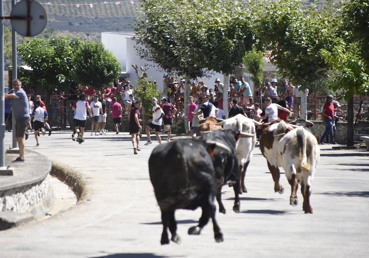 ¿Qué fiestas hay en los pueblos de Salamanca hoy, sábado 12 de agosto?