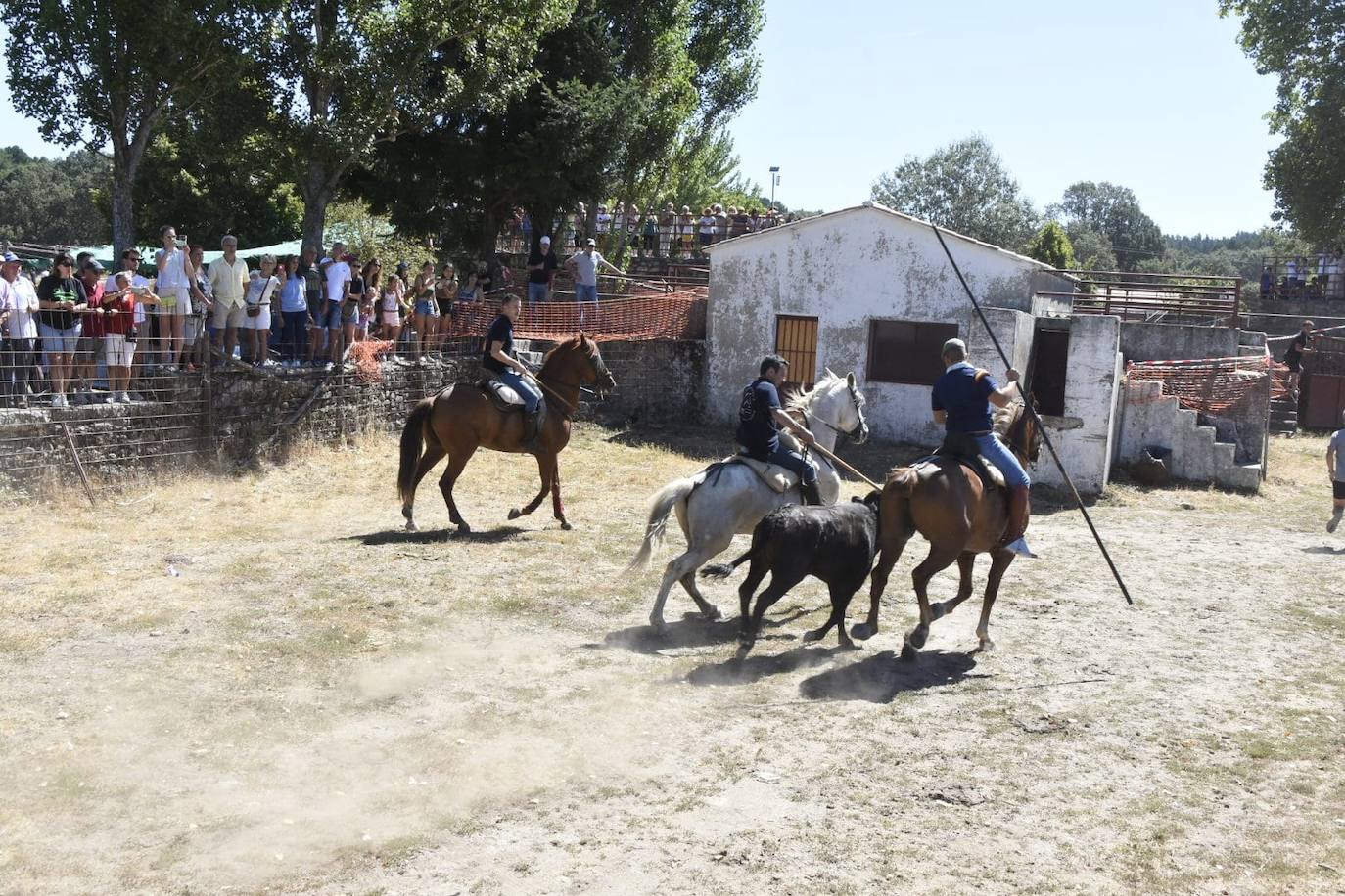 Caótico y largo encierro con caballos en Navasfrías