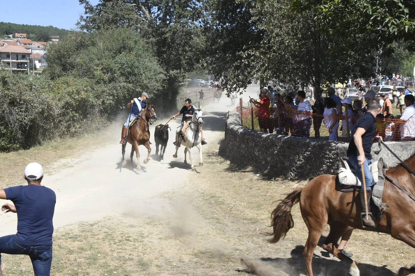 Caótico y largo encierro con caballos en Navasfrías