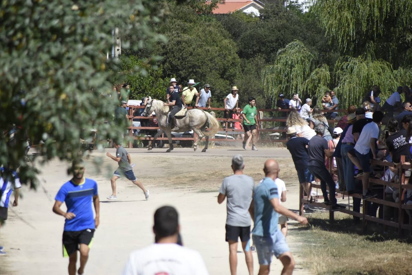 Caótico y largo encierro con caballos en Navasfrías