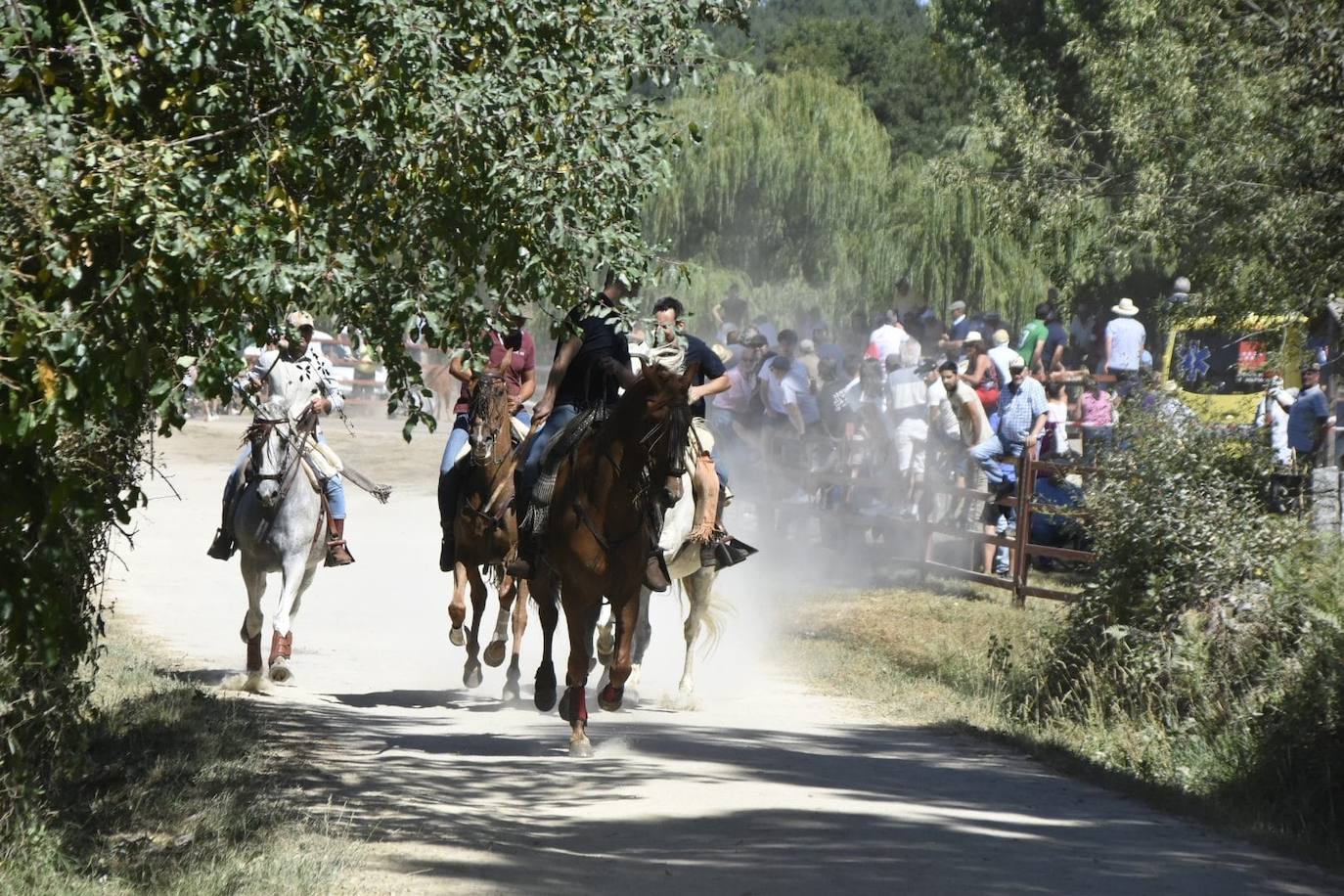 Caótico y largo encierro con caballos en Navasfrías