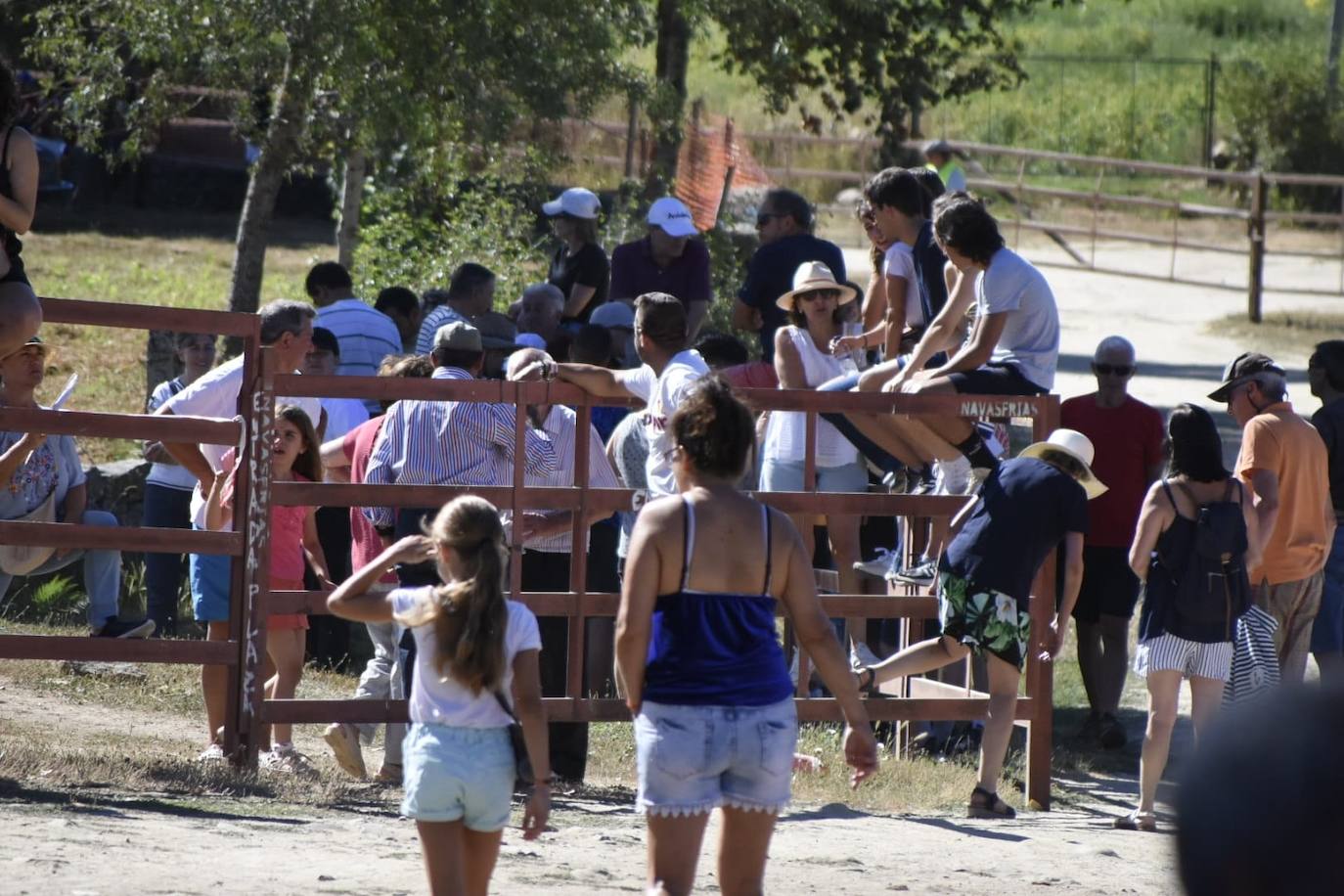 Caótico y largo encierro con caballos en Navasfrías