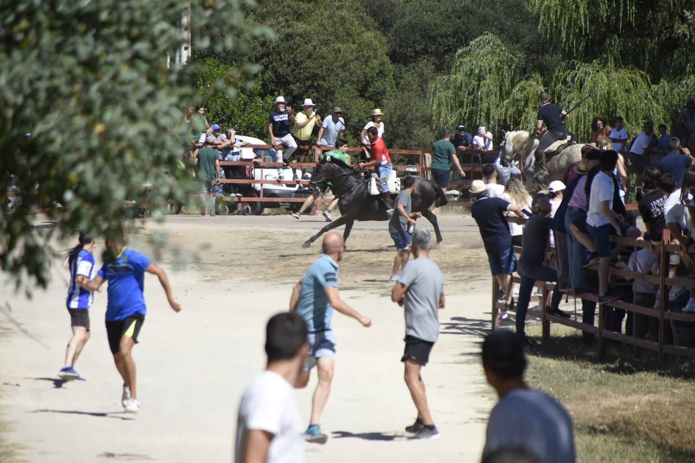 Caótico y largo encierro con caballos en Navasfrías