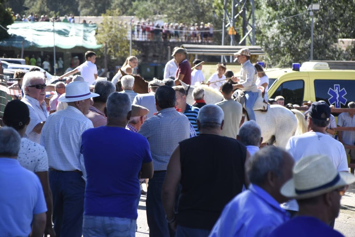 Caótico y largo encierro con caballos en Navasfrías