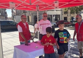 Celebración del «Día de la Banderita» de Cruz Roja en Vitigudino