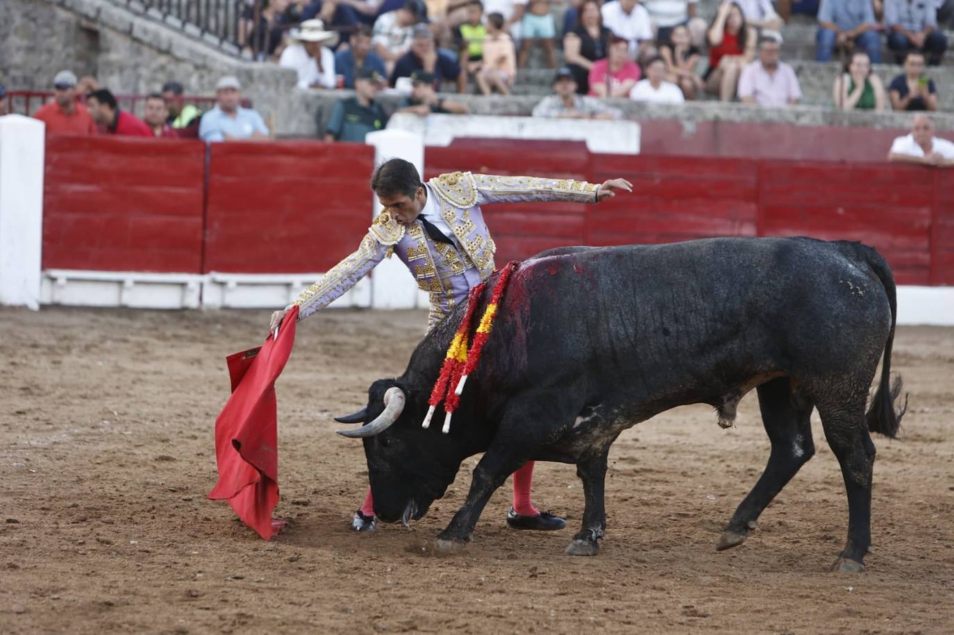 Las mejores imágenes del debut de Miura en Salamanca