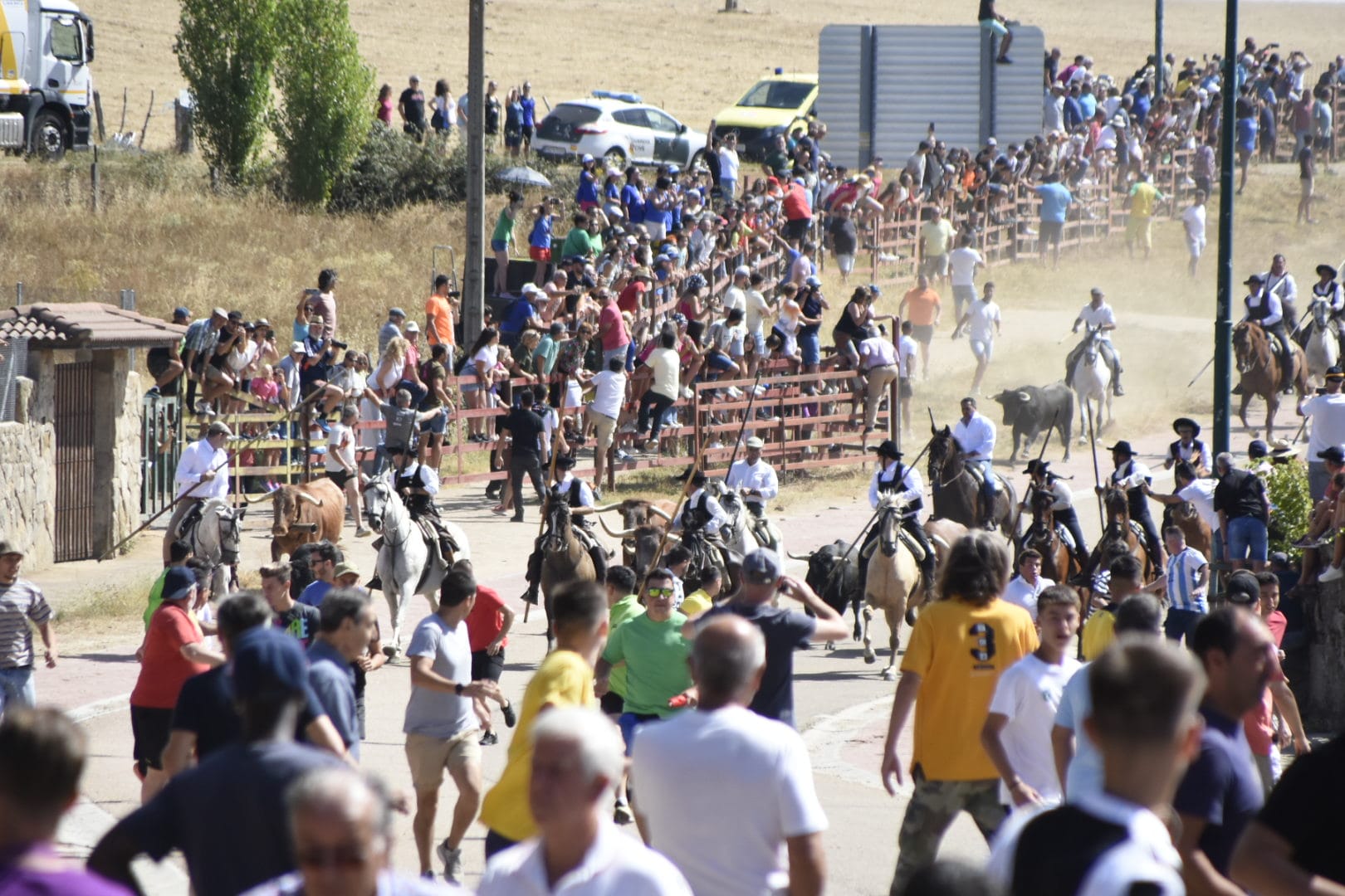 Las mejores imágenes del primer encierro en Fuenteguinaldo