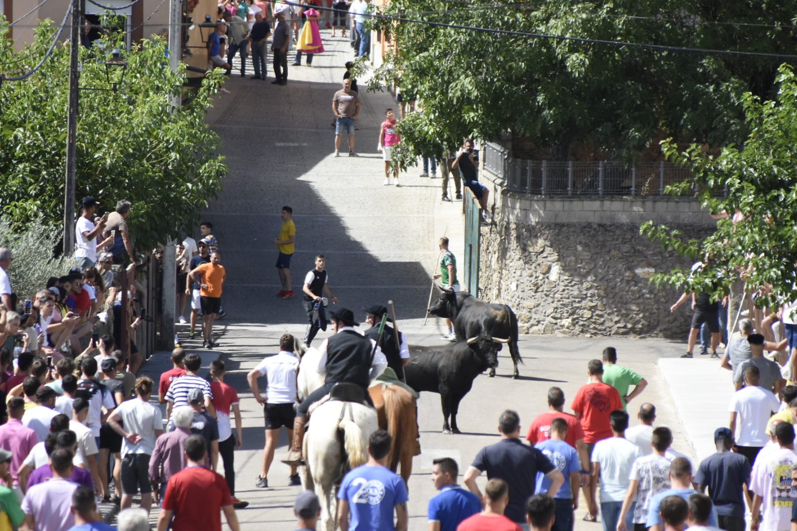 Las mejores imágenes del primer encierro en Fuenteguinaldo