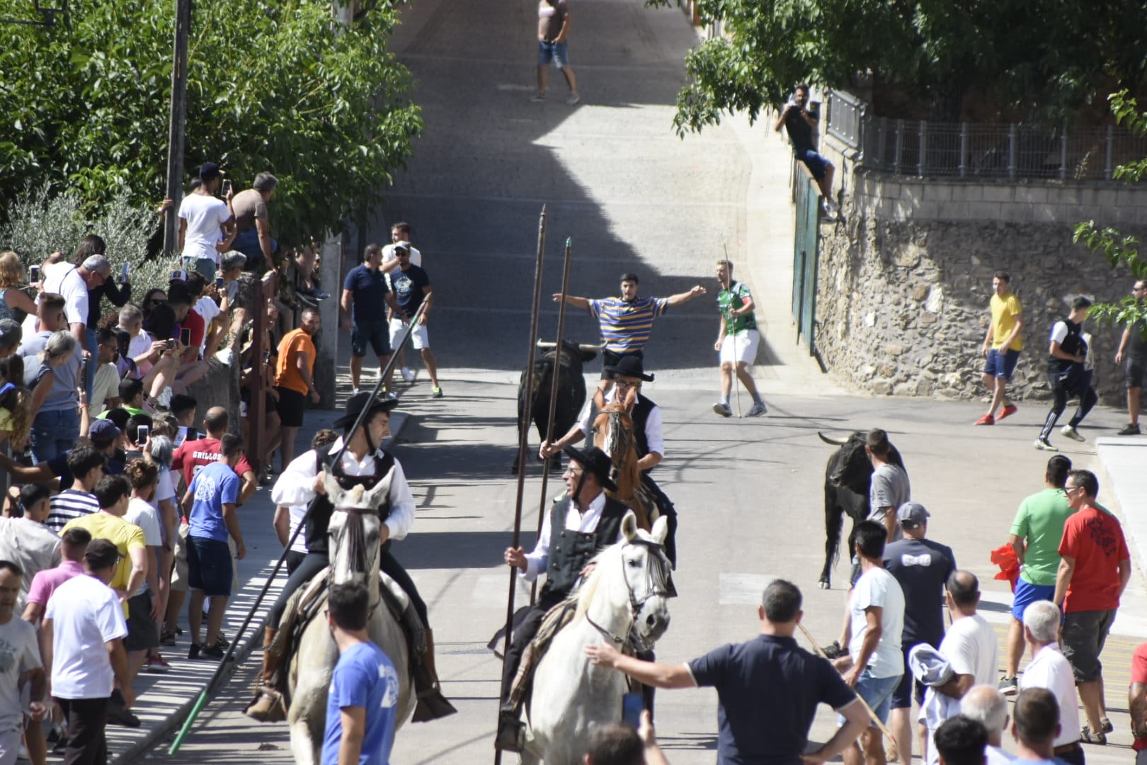 Las mejores imágenes del primer encierro en Fuenteguinaldo