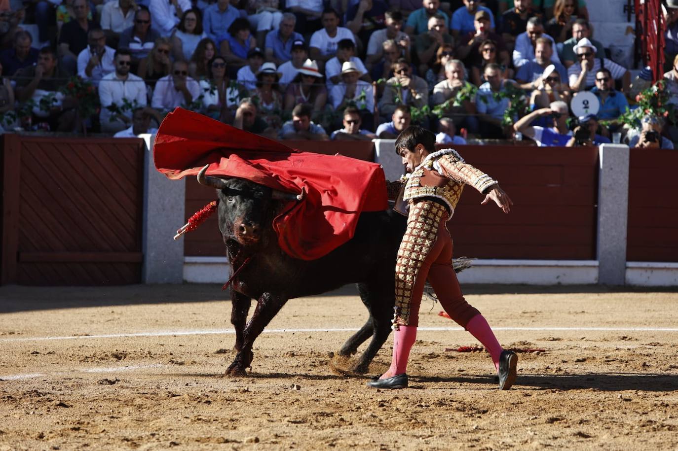 Las mejores imágenes del festejo de El Juli, El Capea y López Chaves en Guijuelo