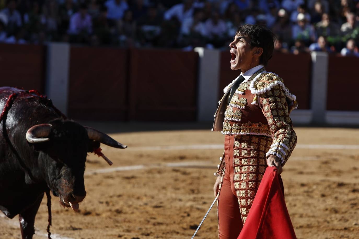 Las mejores imágenes del festejo de El Juli, El Capea y López Chaves en Guijuelo