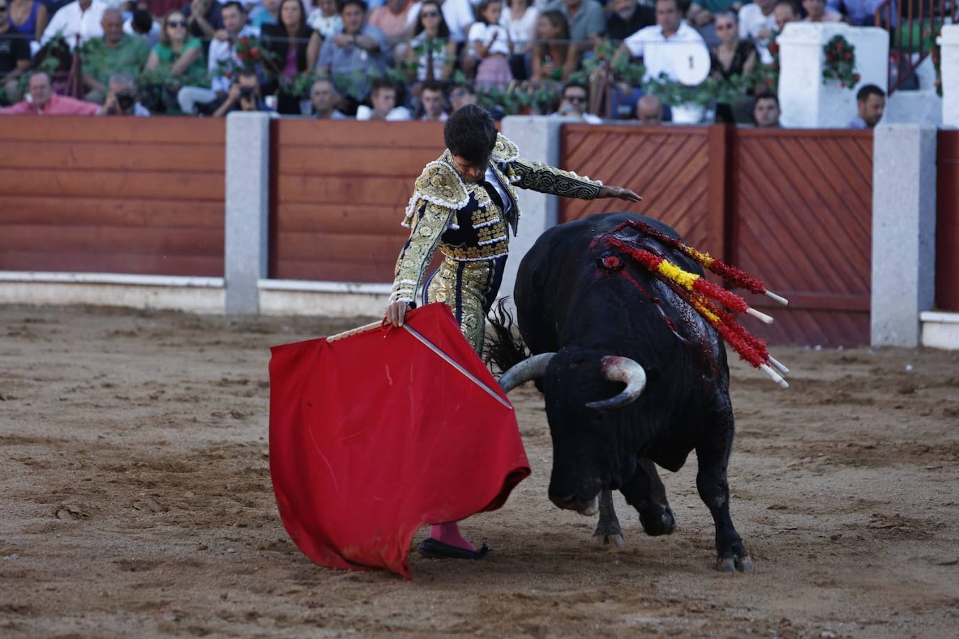 Las mejores imágenes del festejo de El Juli, El Capea y López Chaves en Guijuelo