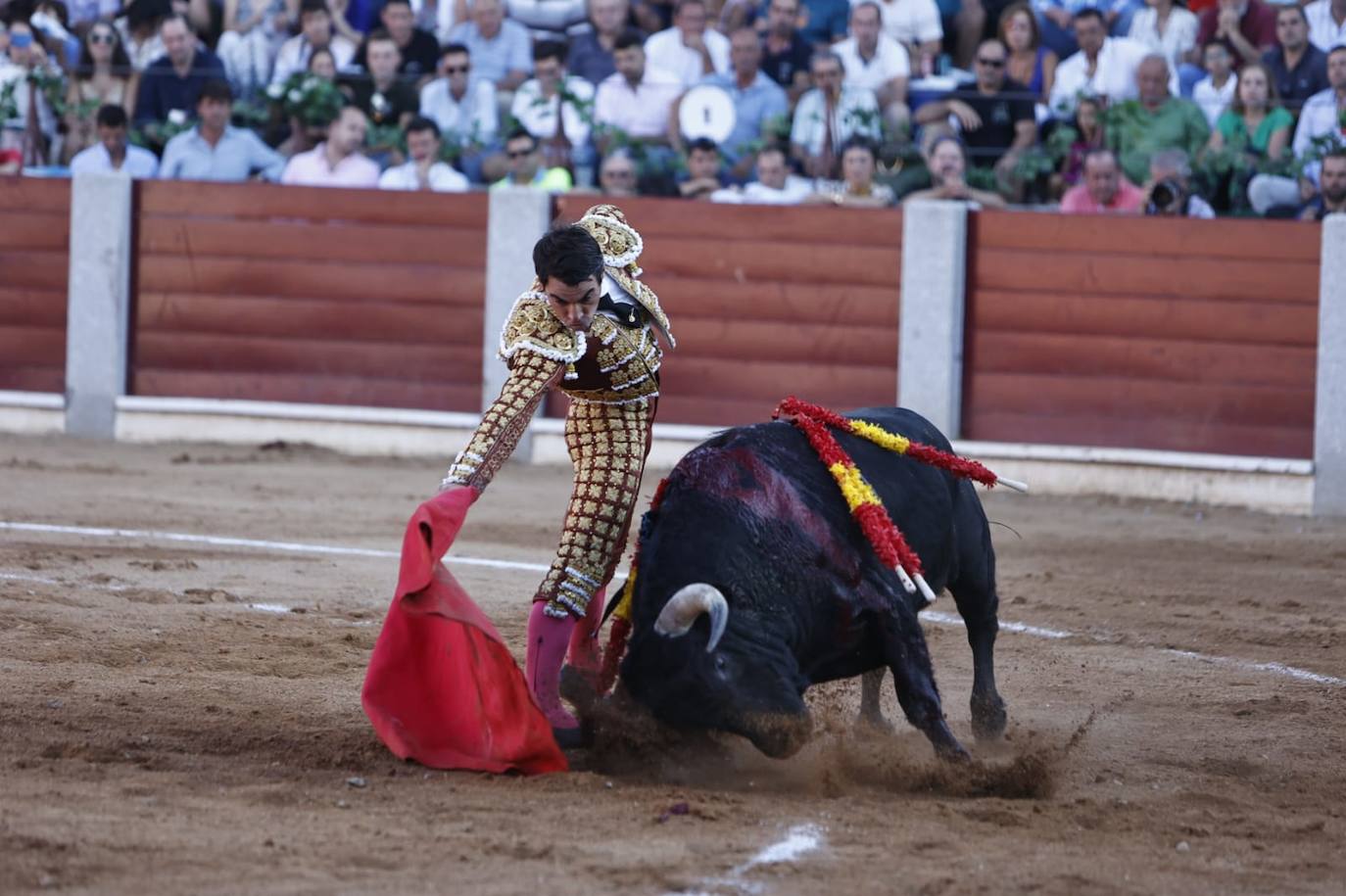 Las mejores imágenes del festejo de El Juli, El Capea y López Chaves en Guijuelo