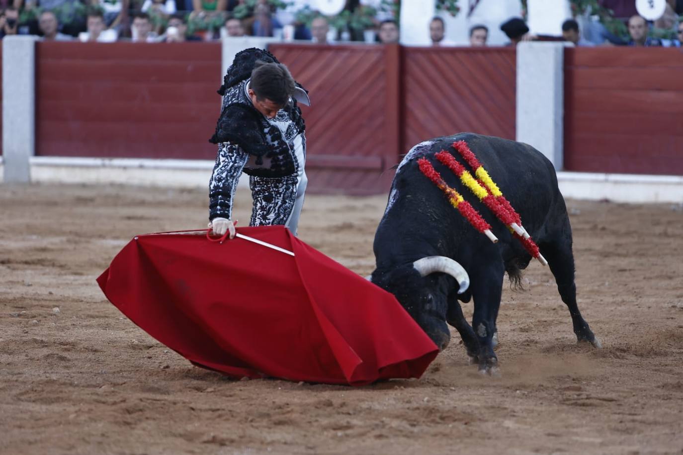 Las mejores imágenes del festejo de El Juli, El Capea y López Chaves en Guijuelo