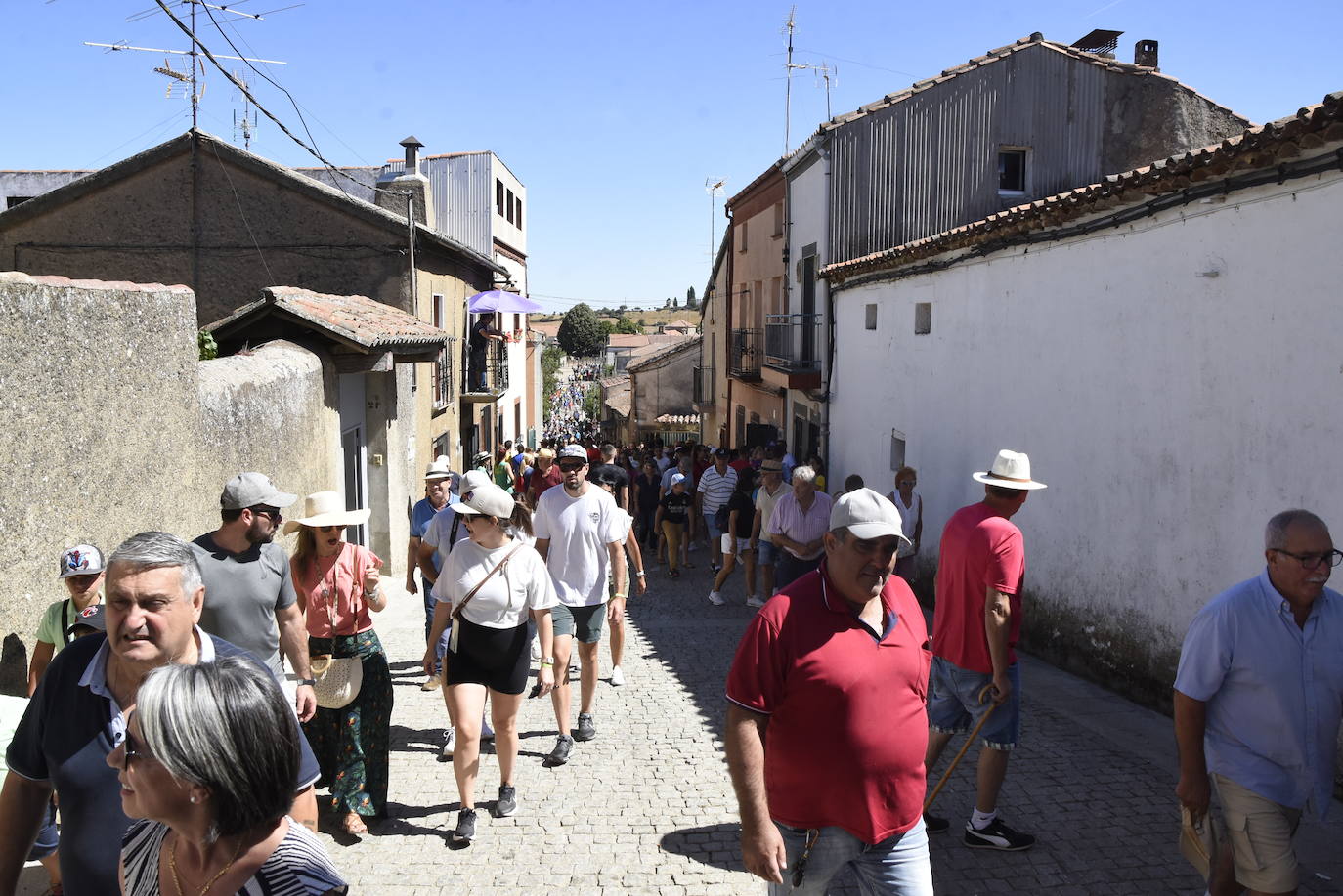 Reses bajo control en Fuenteguinaldo