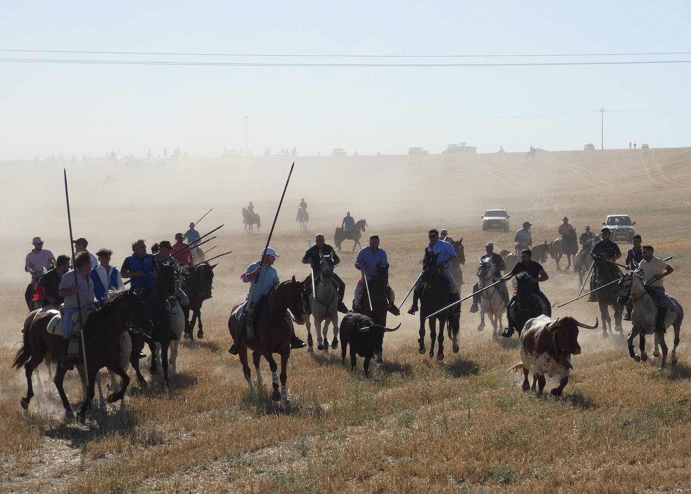 Cientos de jinetes en el XXI encierro campero de Macotera