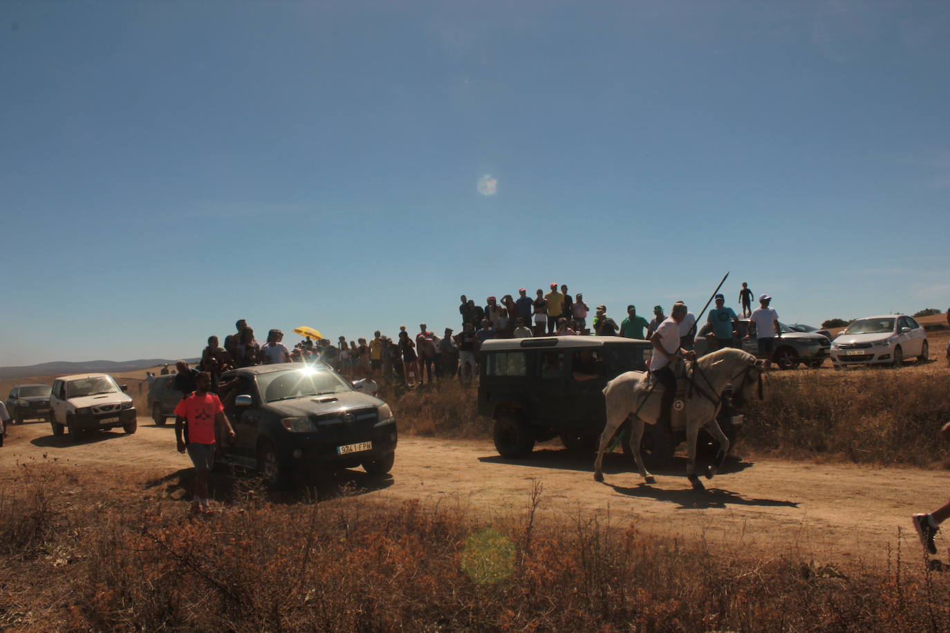 Los novillos se rebelan en Villar de la Yegua