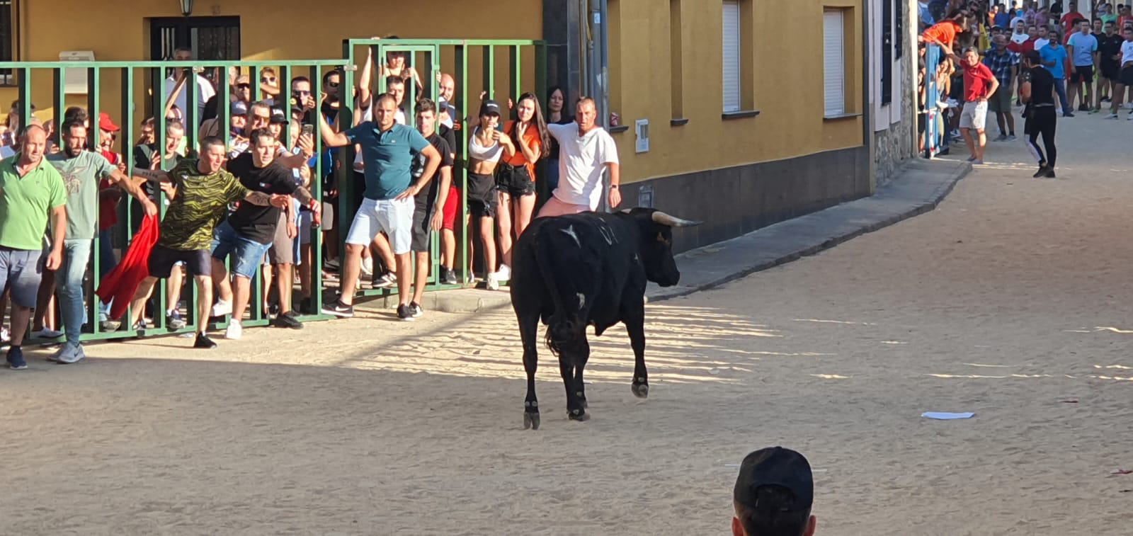 Calzada de Valdunciel disfruta al máximo con el encierro urbano