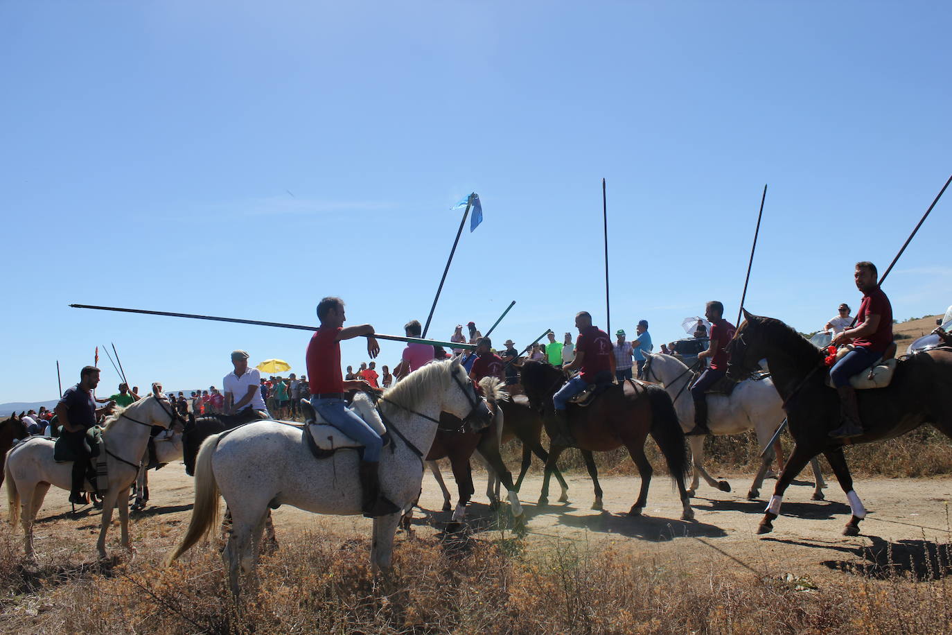 Los novillos se rebelan en Villar de la Yegua