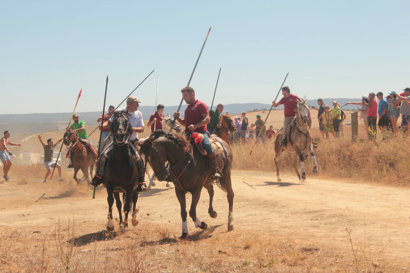 Los novillos se rebelan en Villar de la Yegua