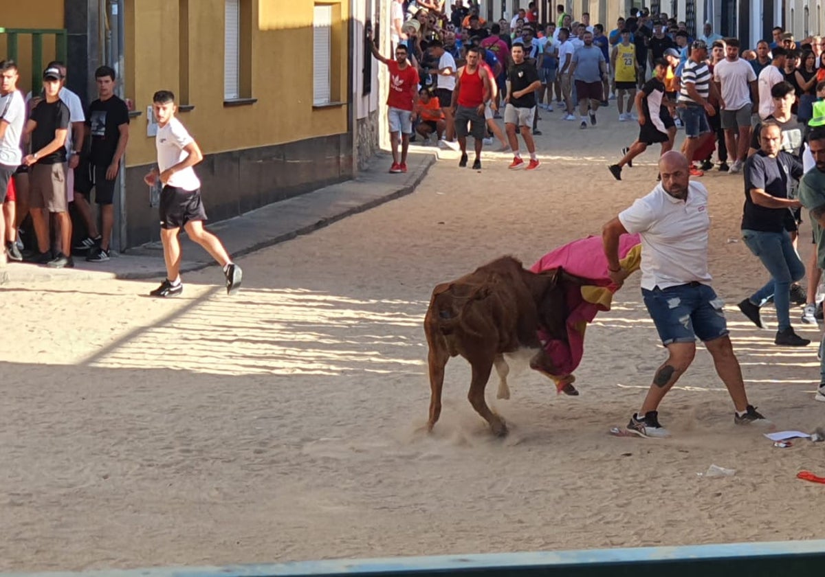 Calzada de Valdunciel disfruta al máximo con el encierro urbano