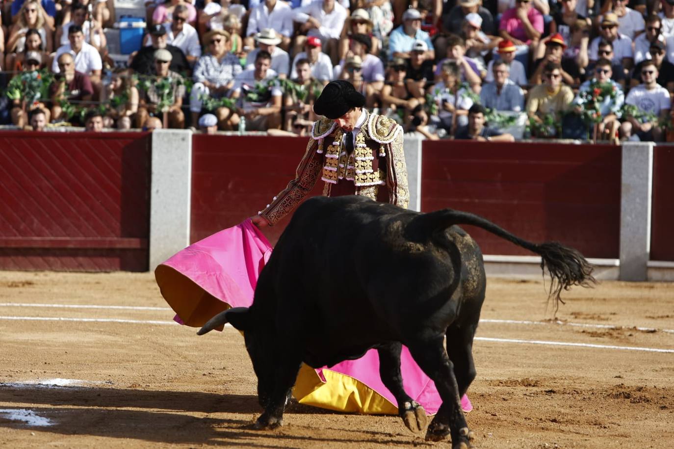 Las mejores imágenes del festejo de Talavante, Castella y Diosleguarde en Guijuelo