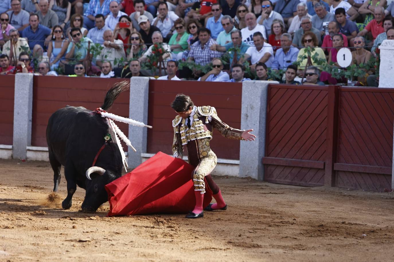 Las mejores imágenes del festejo de Talavante, Castella y Diosleguarde en Guijuelo