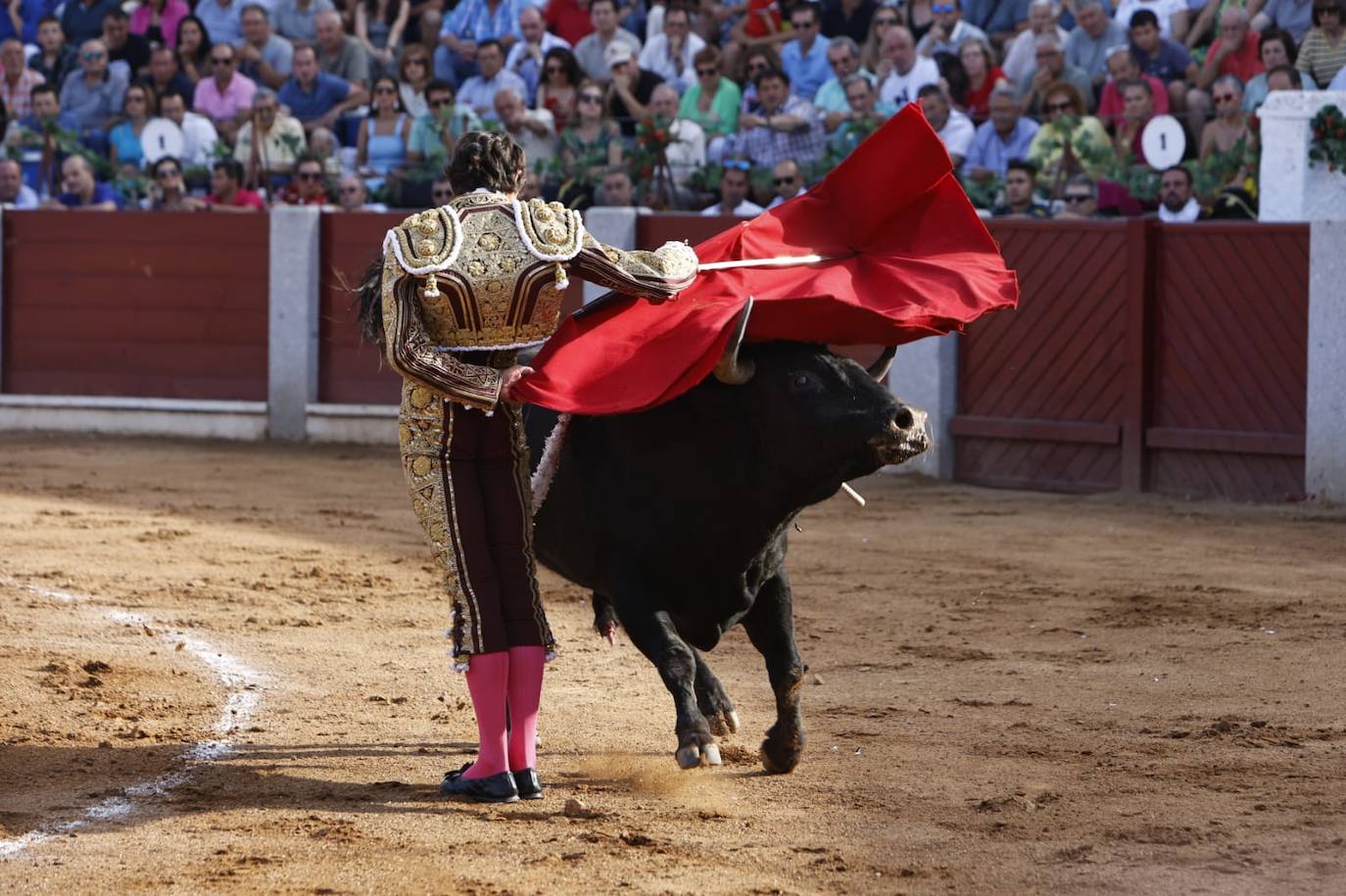 Las mejores imágenes del festejo de Talavante, Castella y Diosleguarde en Guijuelo