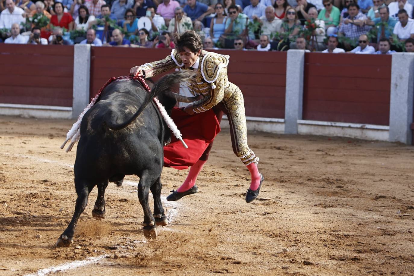 Las mejores imágenes del festejo de Talavante, Castella y Diosleguarde en Guijuelo