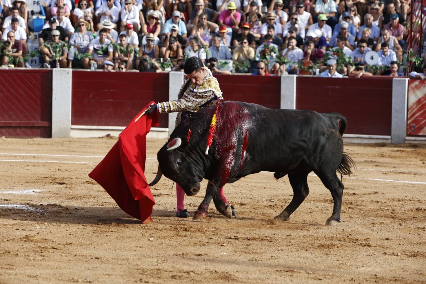 Las mejores imágenes del festejo de Talavante, Castella y Diosleguarde en Guijuelo