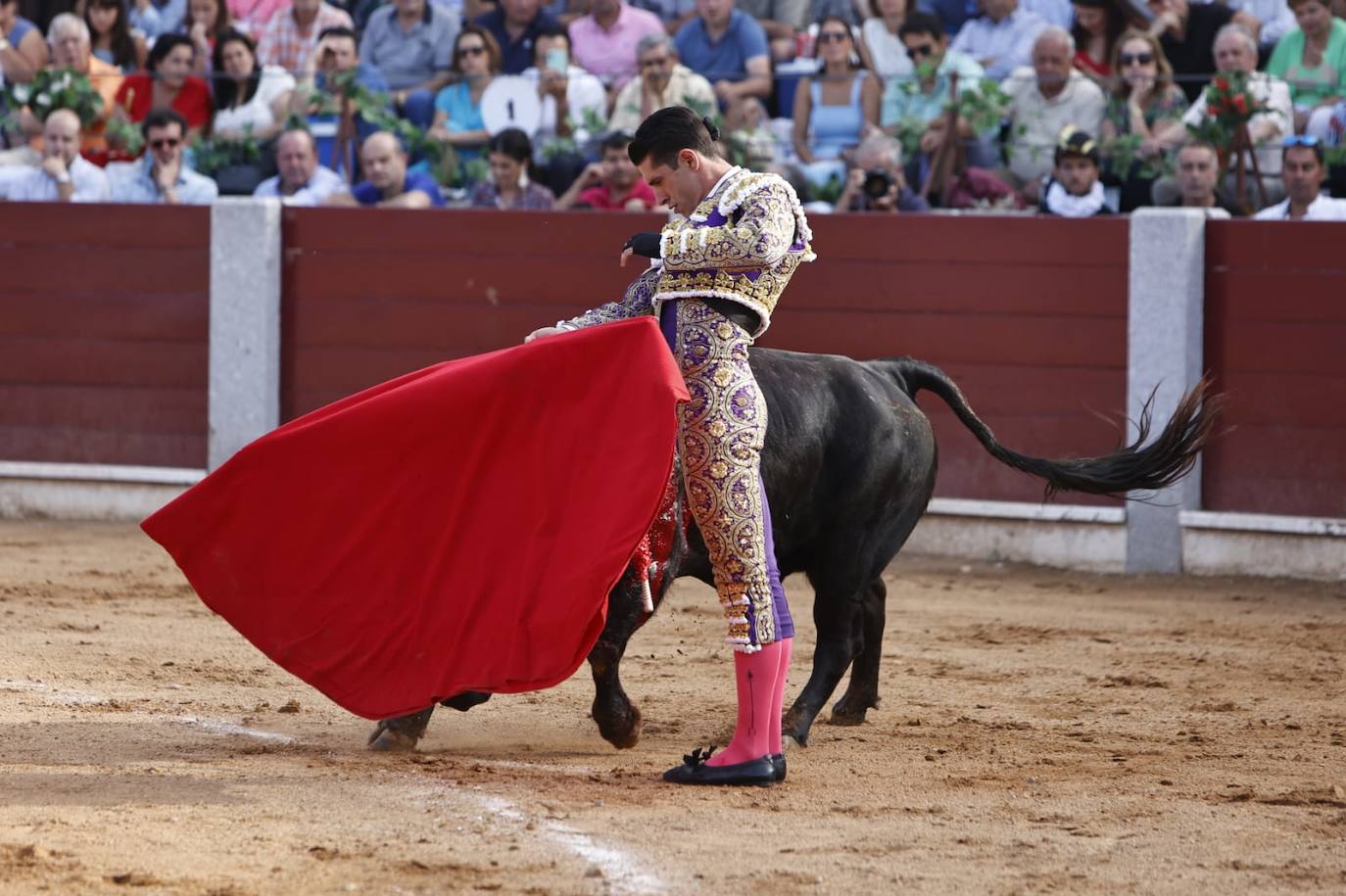 Las mejores imágenes del festejo de Talavante, Castella y Diosleguarde en Guijuelo