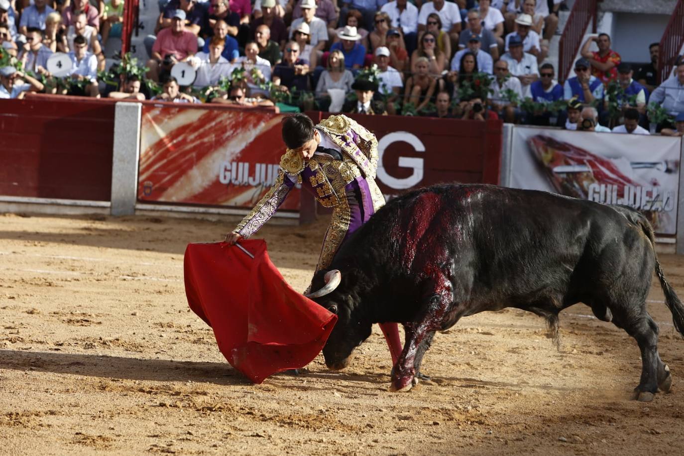 Las mejores imágenes del festejo de Talavante, Castella y Diosleguarde en Guijuelo