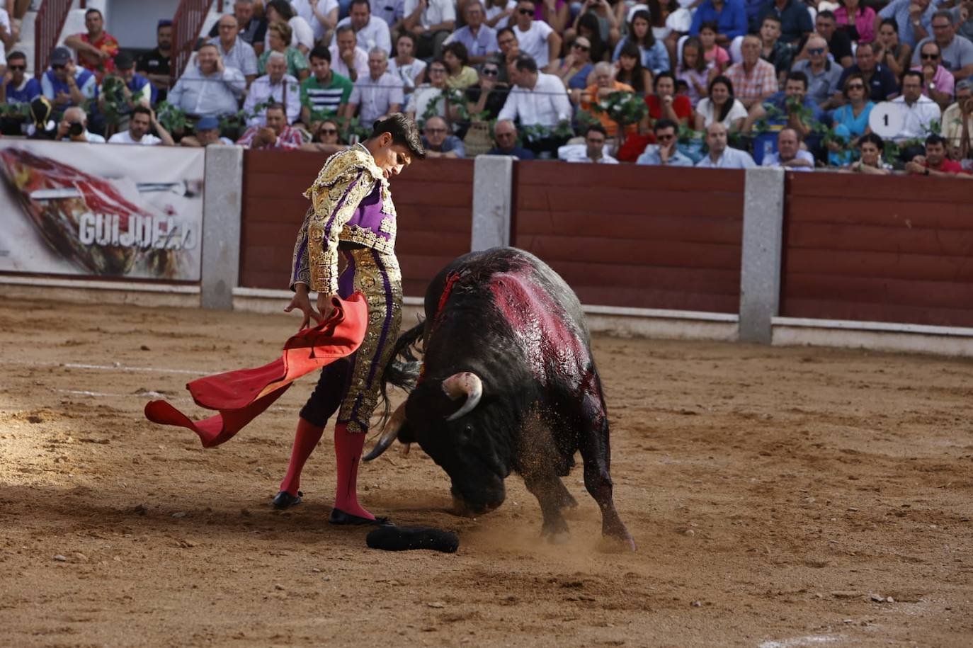 Las mejores imágenes del festejo de Talavante, Castella y Diosleguarde en Guijuelo