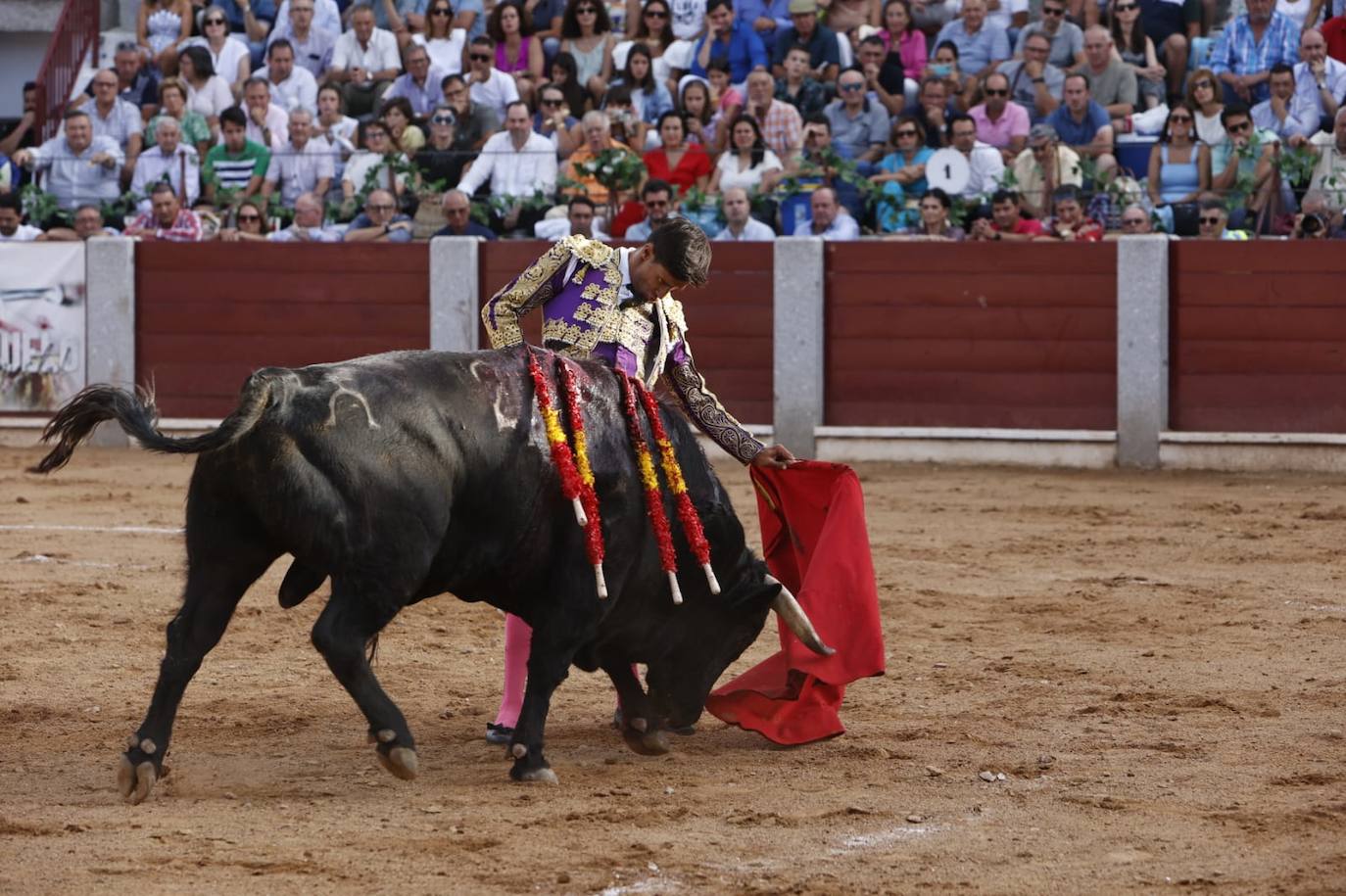 Las mejores imágenes del festejo de Talavante, Castella y Diosleguarde en Guijuelo